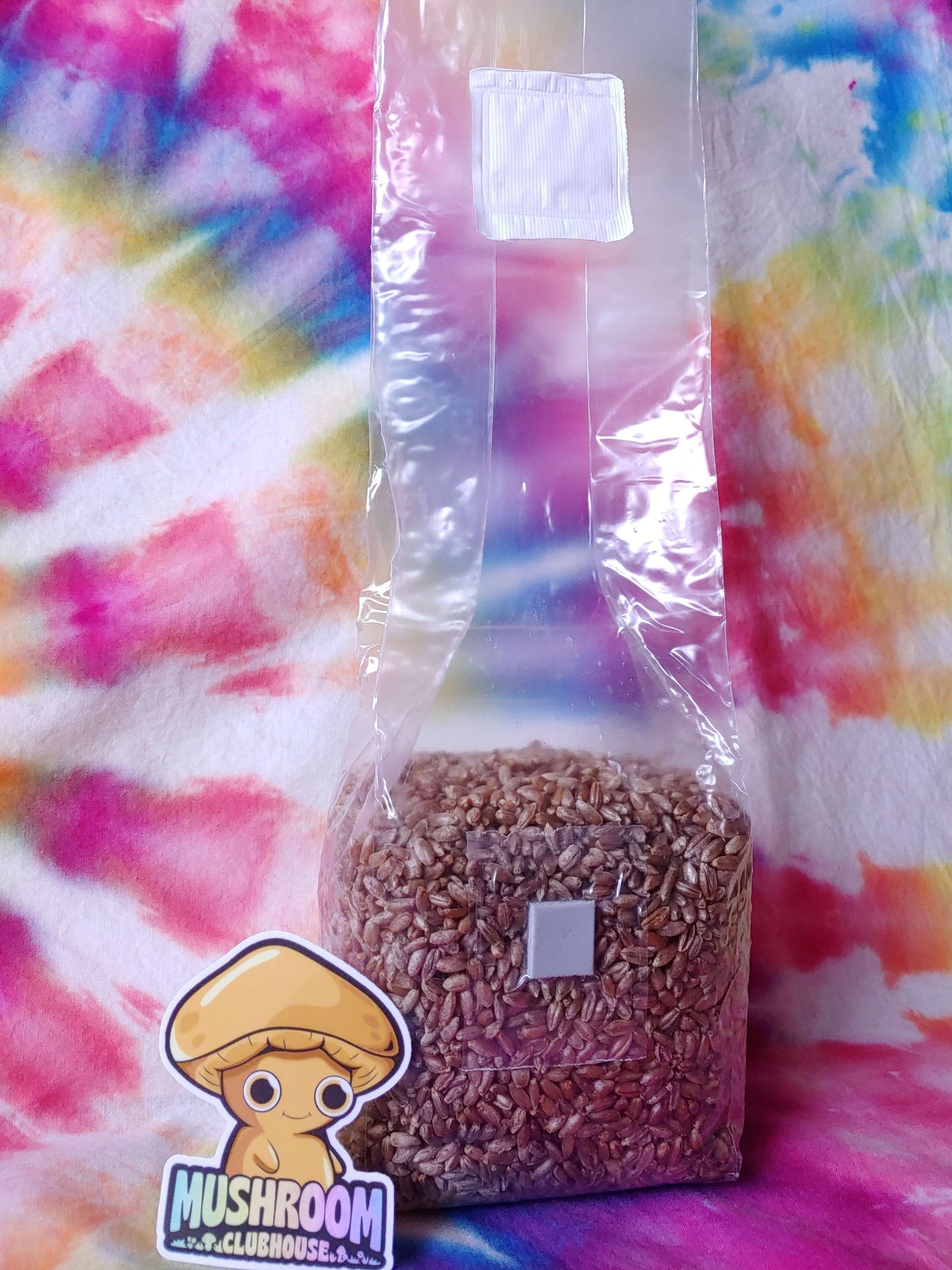 Sterilized Organic Grain Spawn